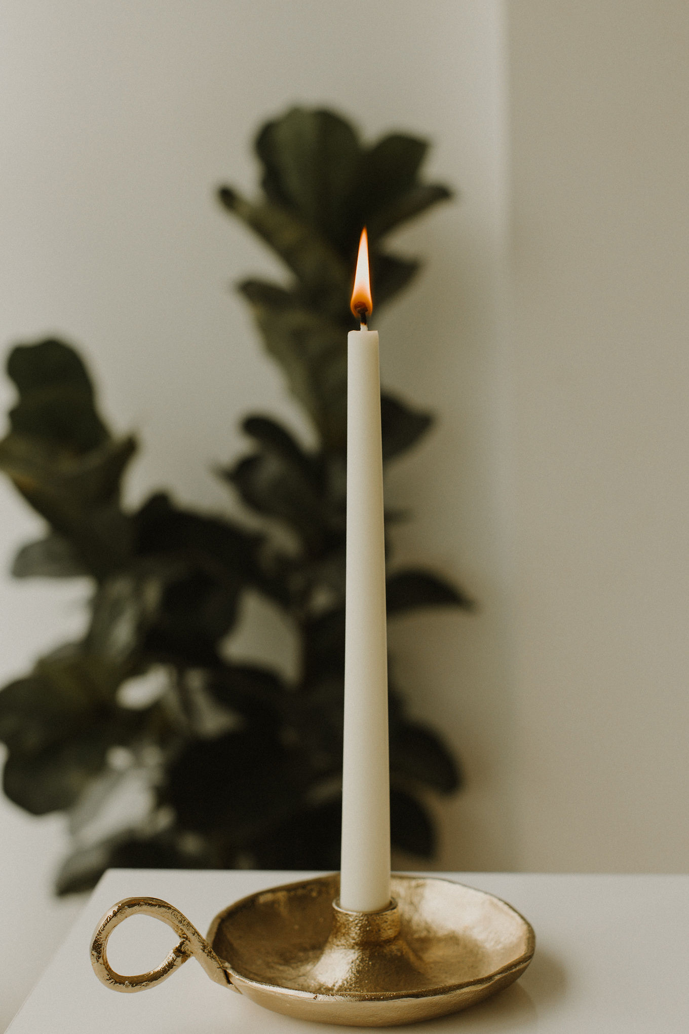 Vela Palito LaFée